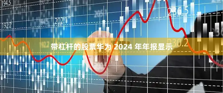 带杠杆的股票　　华为 2024 年年报显示