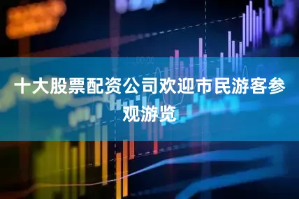 十大股票配资公司欢迎市民游客参观游览