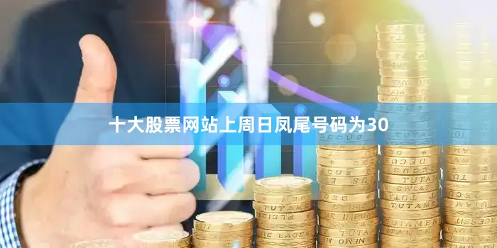 十大股票网站上周日凤尾号码为30